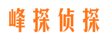 休宁市婚外情调查